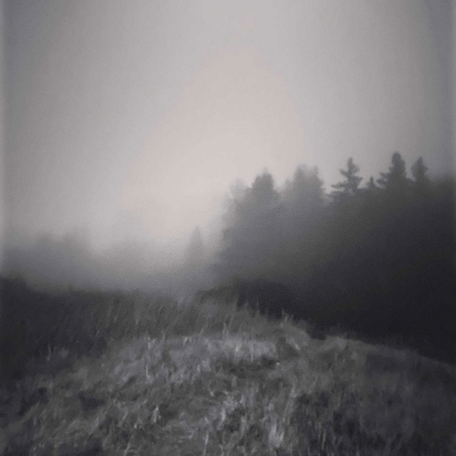 Effigy for the Fiercest Frost - Shadows Dance in the Fires of Yule